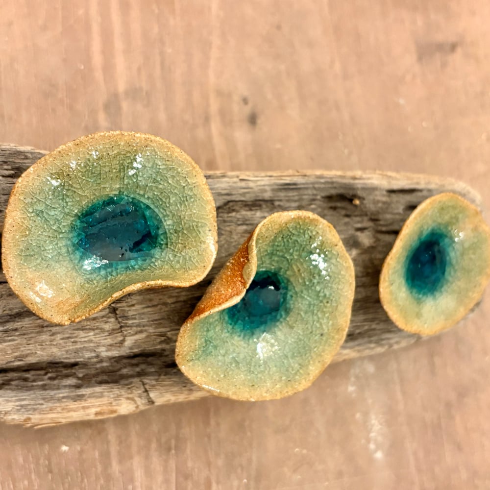 Image of Frozen Lily Driftwood