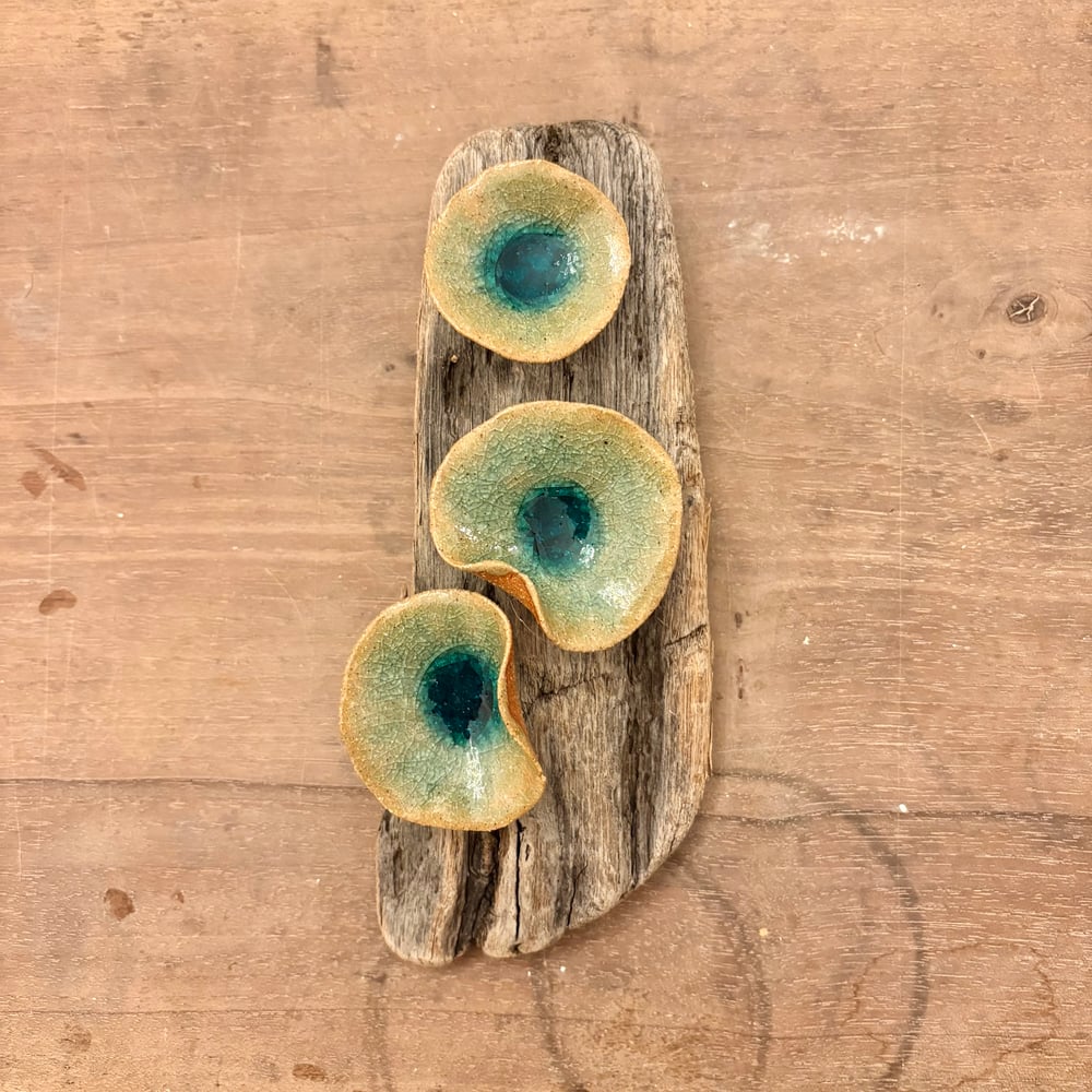 Image of Frozen Lily Driftwood