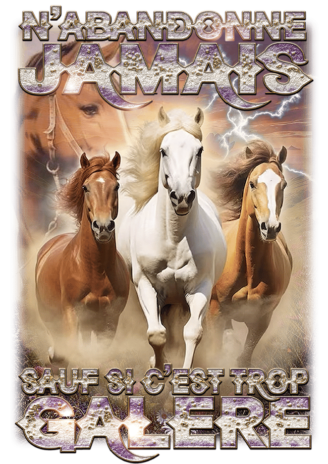 N'ABANDONNE JAMAIS - manches longues noir tie & dye noir 