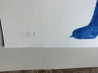 Image 4 of Stray Cat