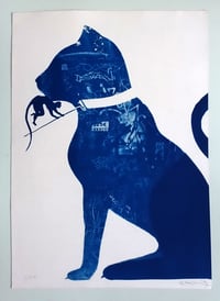 Image 2 of Stray Cat