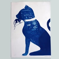 Image 1 of Stray Cat