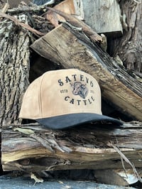 Image 1 of SC BLACK BROWN