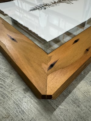 Douglas Fir (Medium) 