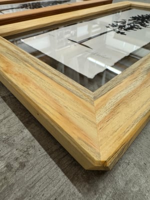 Small Trio (Fir, Lodgepole, Hemlock)