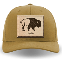 Bison (Amber Gold)