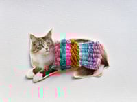 Image 5 of SUMMER ART - CAT CAMP