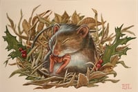 Image 2 of Not a creature was stirring, not even a mouse