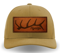 Elk Shed (Amber Gold)