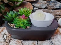 Image 2 of Succulent Waxwarmer LARGE 