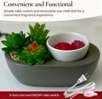 Image 4 of Succulent Waxwarmer LARGE 