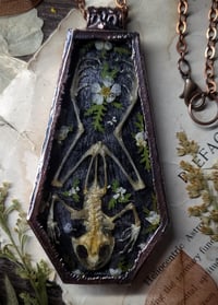 Image 1 of Coffin Amulet - Frog Skeleton and Floral