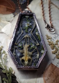 Image 2 of Coffin Amulet - Frog Skeleton and Floral