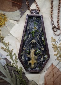 Image 4 of Coffin Amulet - Frog Skeleton and Floral