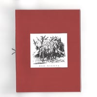 Image 1 of Red Nights, Sydney Acosta