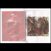 Image 5 of Red Nights, Sydney Acosta