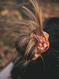 Image 3 of Mototseko laranja