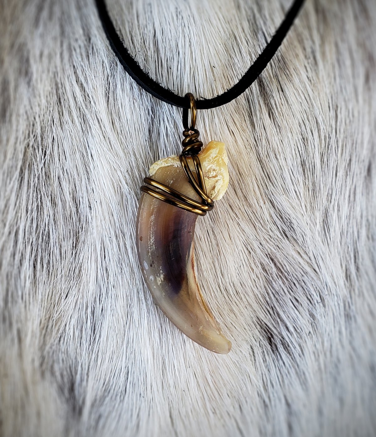 Image of Wolf Claw Necklace