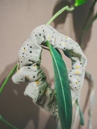 Image 2 of Mototseko margari