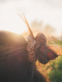 Image 1 of Mototseko beige