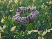 Image 2 of Mototseko beige