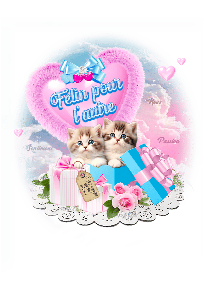 FELIN POUR L'AUTRE -  tie'n dye rose