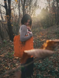 Image 2 of Poltsa kalendula