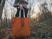 Image 1 of Poltsa kalendula