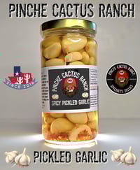 Image 2 of 12oz Spicy Pickled Garlic