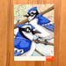 Image of Two Blue Jays / unframed original painting
