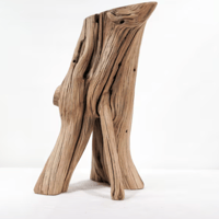 Image 1 of Unique Manzanita 