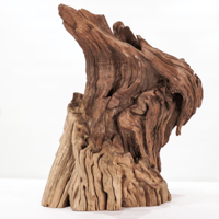 Image 1 of Heavy Root