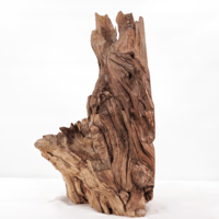 Image 2 of Heavy Root