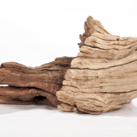 Image 3 of Heavy Root