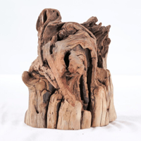 Image 1 of Manzanita Stump