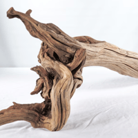 Image 1 of Centerpiece Aquarium