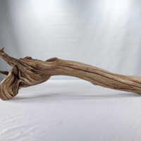 Image 2 of Centerpiece Aquarium