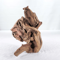 Image 3 of Centerpiece Aquarium