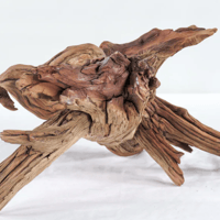 Image 1 of Manzanita Branch