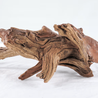 Image 2 of Manzanita Branch