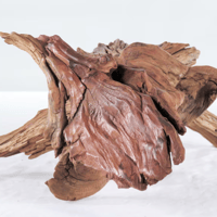 Image 3 of Manzanita Branch