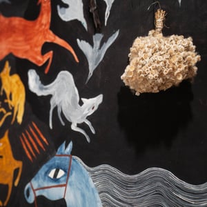 Image of Pearly Everlasting