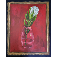 Image 1 of White Protea 