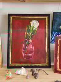 Image 2 of White Protea 