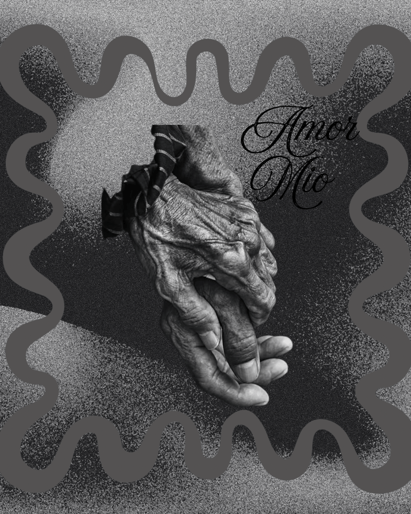 Image of Amor mio 