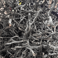 Image 2 of Black Spider Driftwood