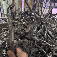 Image 3 of Black Spider Driftwood