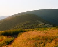 Roan Mountain Sunrise