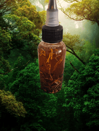 Image 2 of MiriGro Herbal Infused Hair Oil-2oz
