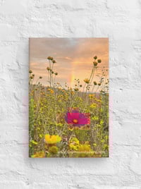 Image 2 of Cosmo, Cowpen Daisies, and a Rainbow - 8” X 12” Canvas Print